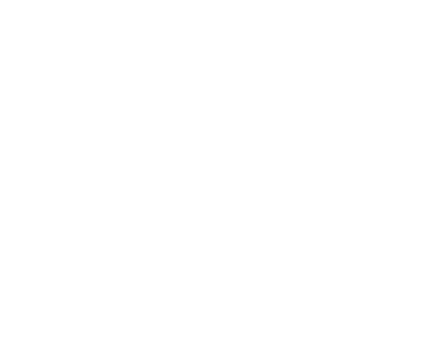 Aviation Engine Combustor Parts